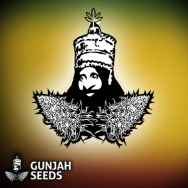 GunJah Seeds Lucky Dip